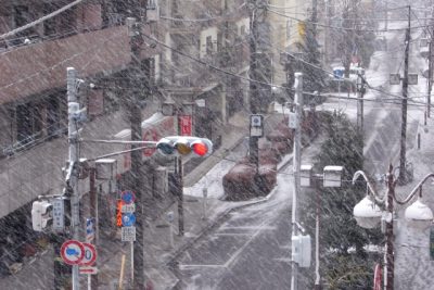 東京に雪コピペ