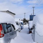 東京に雪コピペ