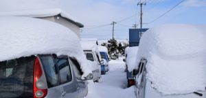 東京に雪コピペ