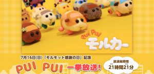 PUI PUI モルカー