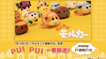 PUI PUI モルカー