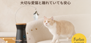 猫見守りカメラ