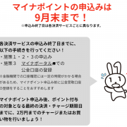 マイナポイント