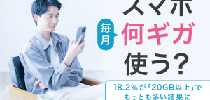 データ容量