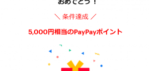 PayPay