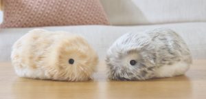 ペットロボット